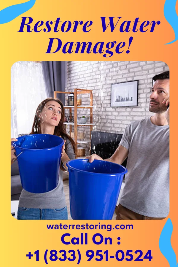 water restoration United Mitigation LLC Tampa