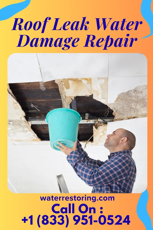 Roof Leak Water Damage Repair in Tampa, FL